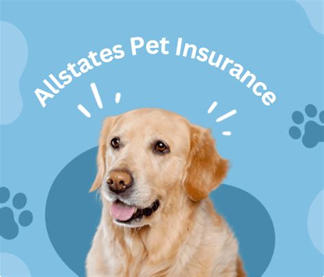 pet insurance for over 60s.